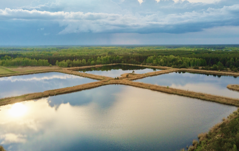 Wastewater facility slashed emergency downtime by 50% with predictive vibration monitoring