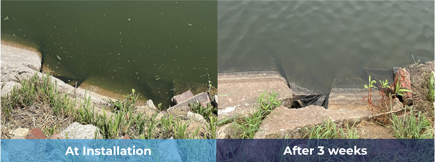 Before and after: Wizard installation reduced algae within three weeks